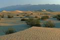 death valley - mesquite flat sand dunes 043