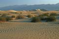 death valley - mesquite flat sand dunes 044