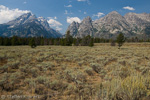 Grand Teton NP, Wyoming, USA 44