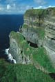irland - cliffs of moher 042