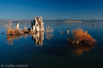 Mono Lake, California, Kalifornien, USA 29