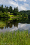 0246 Schottland, Highlands, The Trossachs, Loch Ard