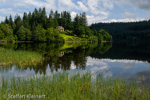 0255 Schottland, Highlands, The Trossachs, Loch Ard