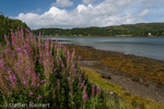 0517 Schottland, Highlands, Loch Feochan im Westen