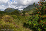 0554 Schottland, Highlands, Loch Lomond an the Trossachs NP