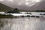 0571 Schottland, Highlands, Lochan an h-Achlaise