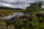 0579 Schottland, Highlands, Lochan an h-Achlaise