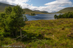 0785 Schottland, Highlands, Loch Droma