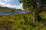 0787 Schottland, Highlands, Loch Droma
