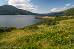 0802 Schottland, Highlands, Loch Broom, bei Ullapool
