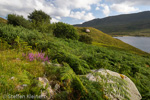 0826 Schottland, Highlands, Wester Ross, Inverpolly Schutzgebiet
