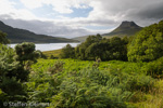 0828 Schottland, Highlands, Wester Ross, Inverpolly Schutzgebiet