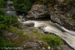 1016 Schottland, Highlands, Falls of Shin, Lachse