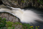 1094 Schottland, Highlands, Falls of Shin, Lachse