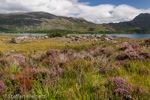 2094 Schottland, Loch Maree, Highlands