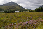 2113 Schottland, Loch Clair, Highlands im Westen