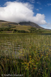 2399 Schottland, Skye, Loch Cill Chriosd im Sueden