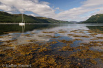 2563 Schottland, Highlands, Loch Duich