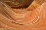 Wave, Coyote Buttes North, Arizona, USA 26