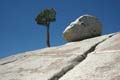 yosemite np - tioga pass - olmsted point 074