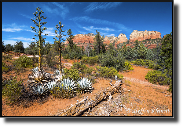 Sedona, Red Rocks, Arizona, USA